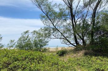 Imagem #3 do imóvel Terreno Beira-Mar em Arroio do Sal - Bairro Torres Sul