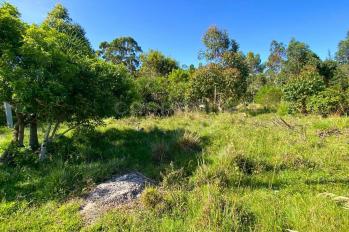 Imagem #3 do imóvel Oportunidade de Terreno no Balneário Figueirinha