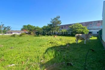 Imagem #3 do imóvel Terreno 12 x 25 no Balneário Figueirinha – Excelente Espaço para Construir