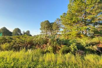 Imagem #3 do imóvel Terreno Residencial em Pinus Park, Arroio do Sal