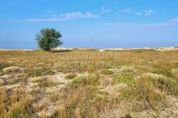 Imagem #1 do imóvel Terreno com excelente localização a apenas 60 metros do mar!