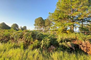 Imagem #2 do imóvel Terreno Residencial em Pinus Park, Arroio do Sal